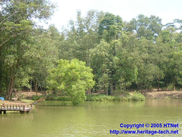 View of the lush greenery near the biggest lake in Hutan Bandar.